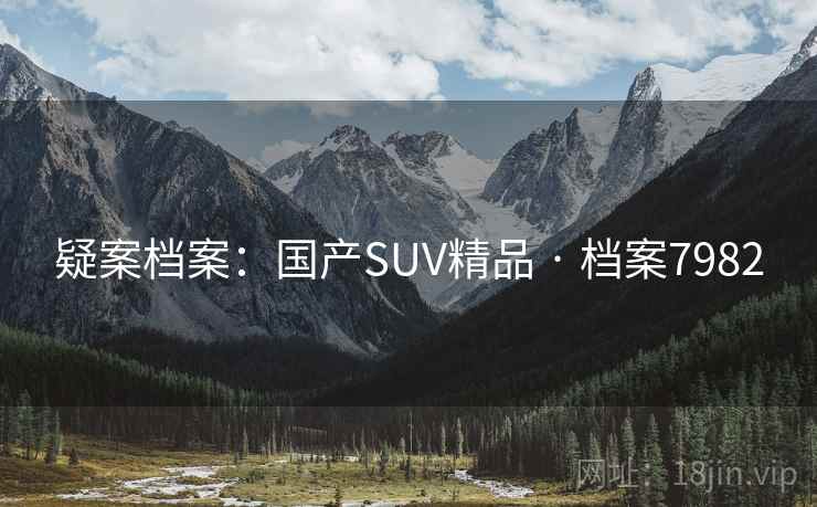 疑案档案：国产SUV精品 · 档案7982