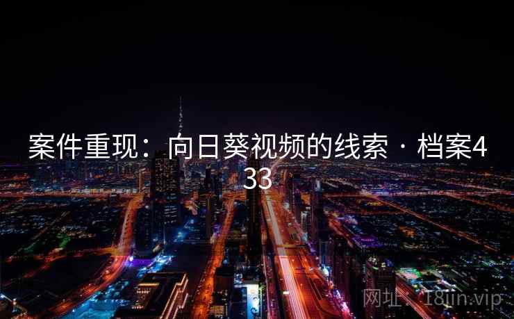 案件重现：向日葵视频的线索 · 档案433