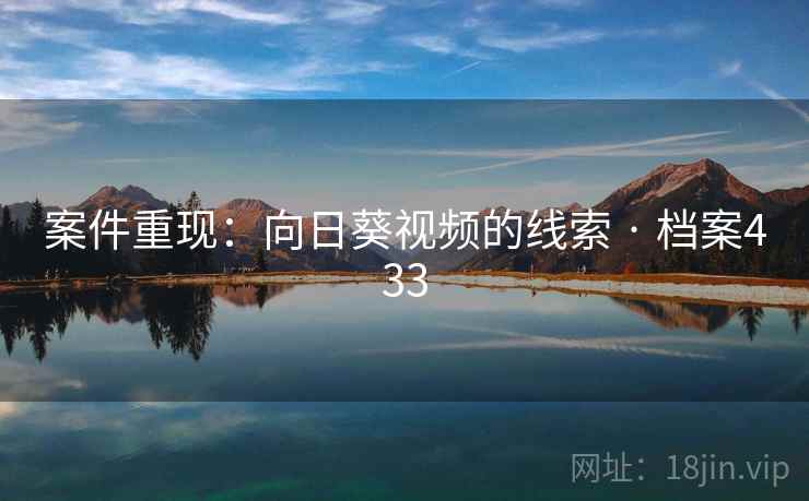 案件重现：向日葵视频的线索 · 档案433